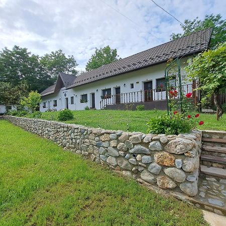 Casa Morii Ohaba 빌라 외부 사진