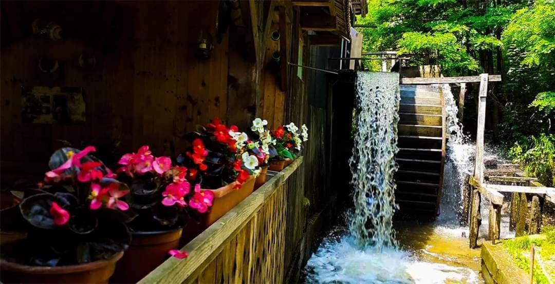 Casa Morii Ohaba 빌라 외부 사진