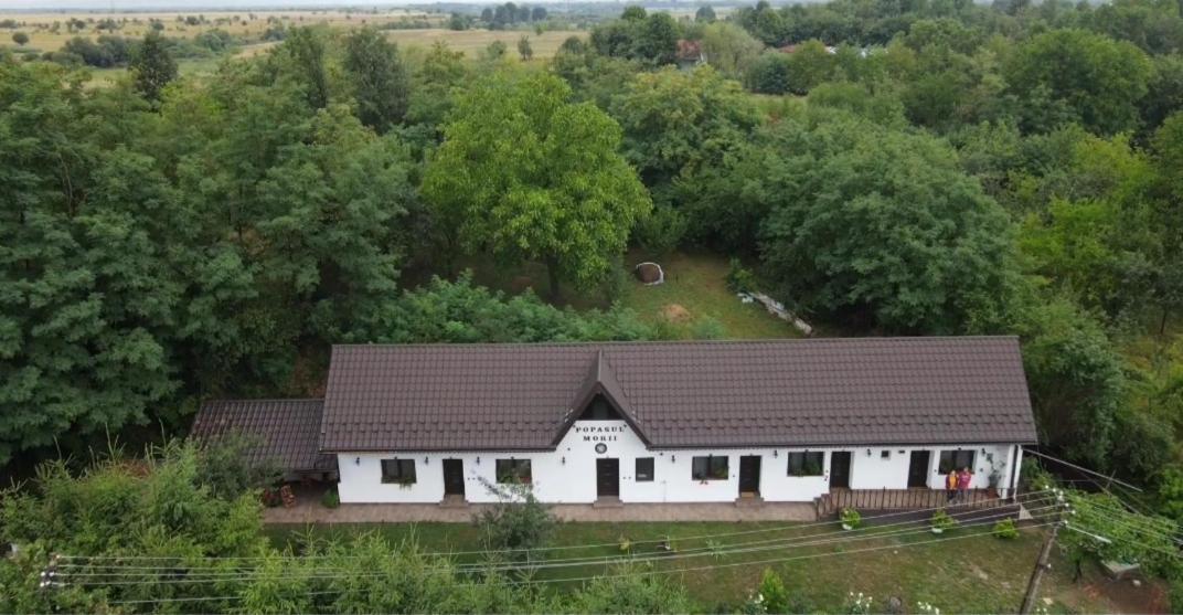 Casa Morii Ohaba 빌라 외부 사진