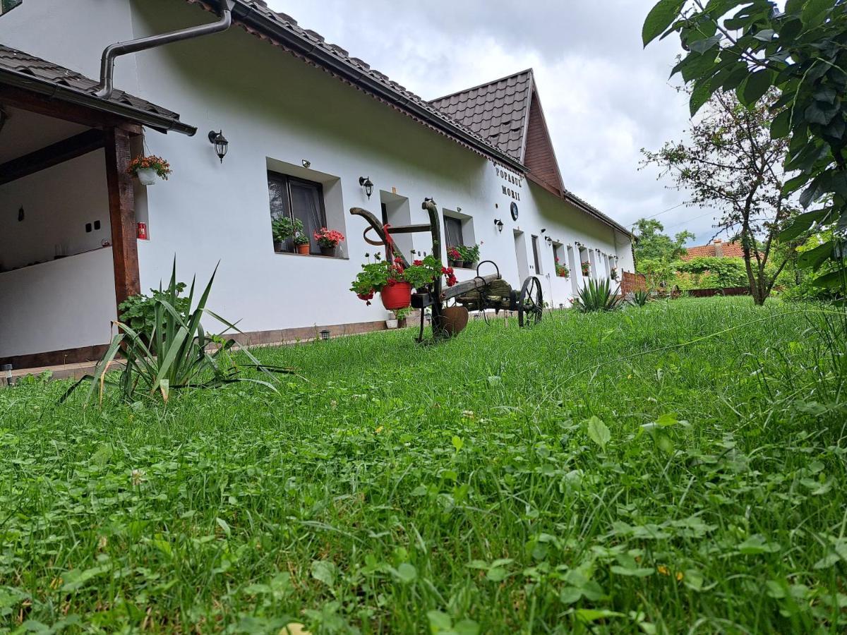 Casa Morii Ohaba 빌라 외부 사진